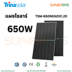 Trina Solar 650W Vertex N NEG20C.20