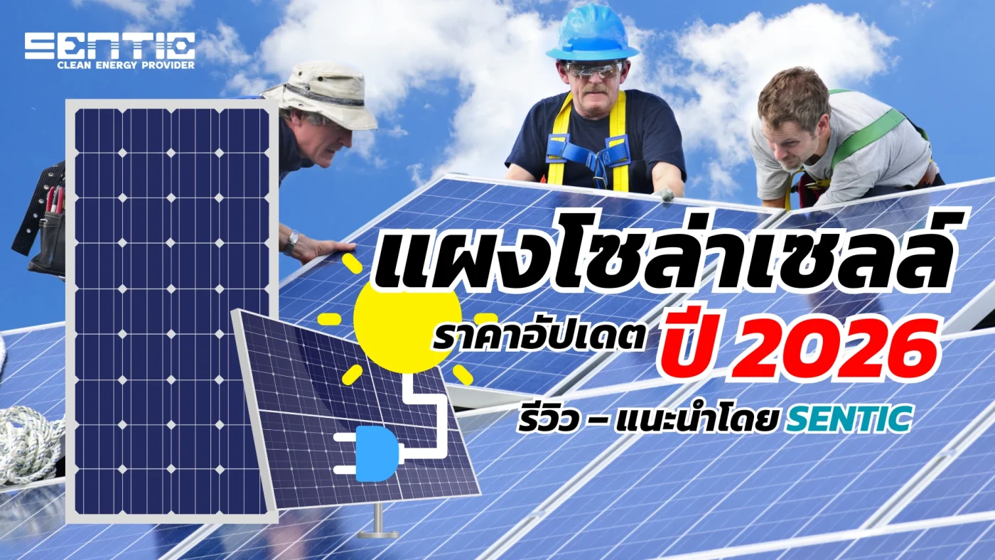 Trina Solar แบรนด์โซล่าเซลล์ – คุณสมบัติ จุดเด่น & จุดด้อย โดยตัวแทนจำหน่าย Sunnersys
